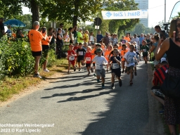 WBL_Karl_Lip_Startbereich_006