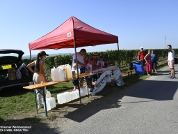WBL_2023_AW_266