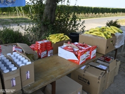 WBL_2024_WBL_AW_0201