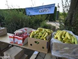 WBL_2024_WBL_AW_0202