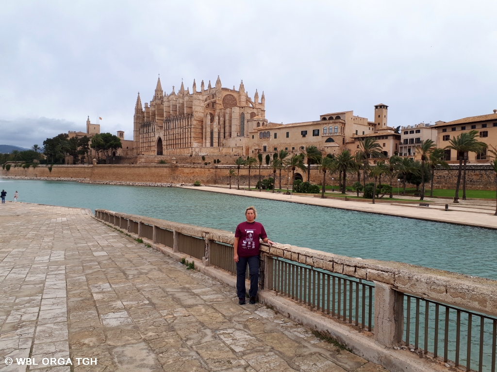 Palma 1