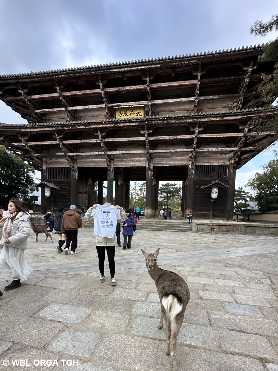 Nara Tempel 1