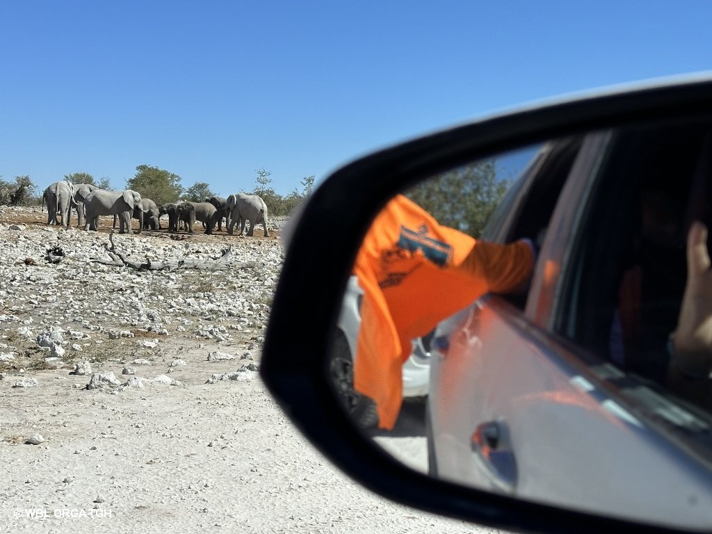  Etosha 1