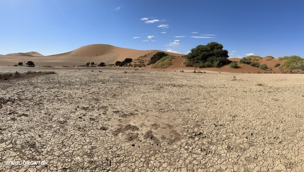  Sossusvlei 1