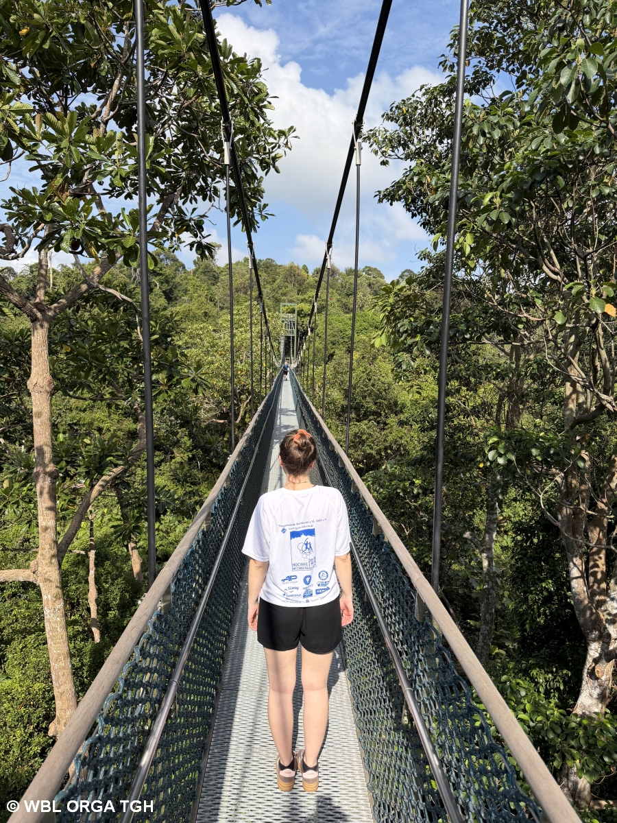 MacRitchie Reservoir    